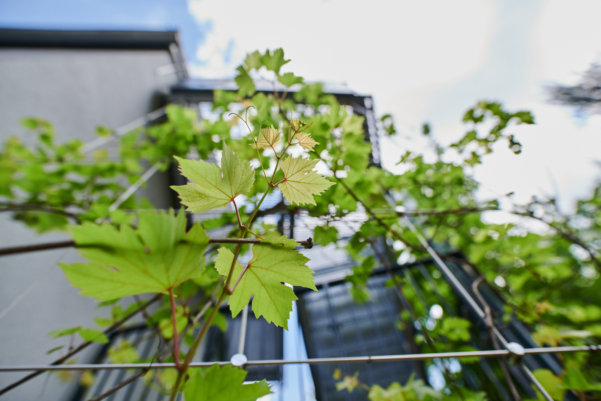 Hänsel+Gretel KiGa München-Harlaching