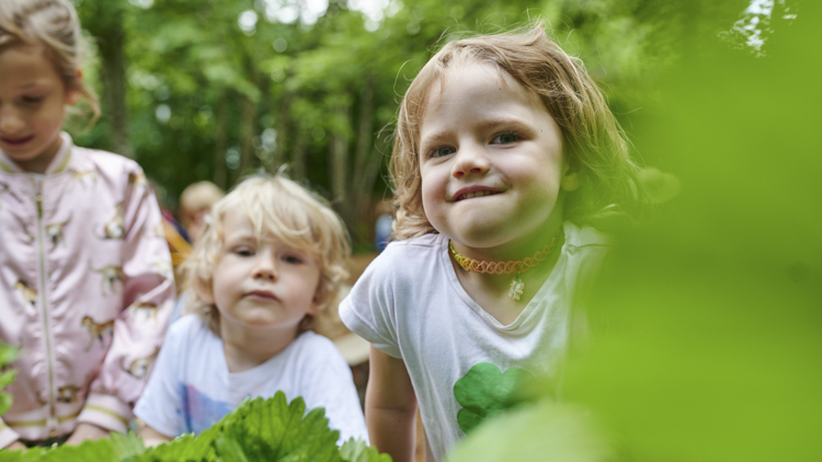 Foto Hänsel und Gretel Kindergarten